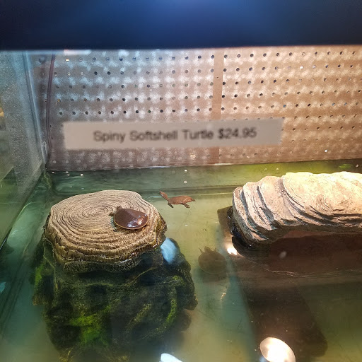 Pet Store «Exotic Pets», reviews and photos, 2410 N Decatur Blvd #160, Las Vegas, NV 89108, USA