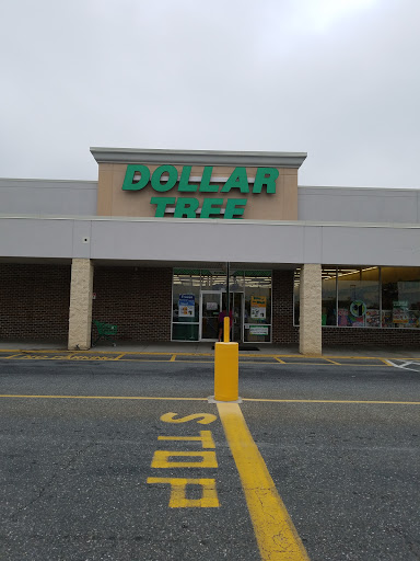 Dollar Store «Dollar Tree», reviews and photos, 100 Northeast Ave, North East, MD 21901, USA