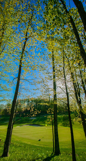 Public Golf Course «Bahle Farms Golf Course», reviews and photos, 9505 E Otto Rd, Suttons Bay, MI 49682, USA