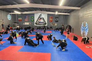 Ferny Jiu Jitsu image