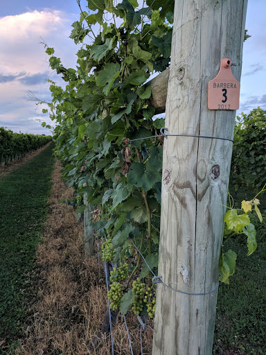 Vineyard «Crow Farm», reviews and photos, 12441 Vansant Corner Rd, Kennedyville, MD 21645, USA