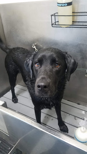 Pet Supply Store «Pet Food Warehouse», reviews and photos, 2500 Williston Rd, South Burlington, VT 05403, USA