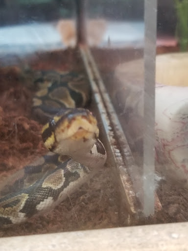 Pet Supply Store «Petco Animal Supplies», reviews and photos, 3380 124th Ave NW, Coon Rapids, MN 55433, USA