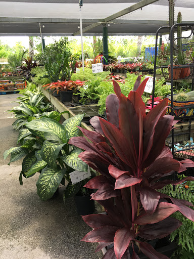 Produce Market «Nelson Family Farms», reviews and photos, 875 W Midway Rd, Fort Pierce, FL 34982, USA
