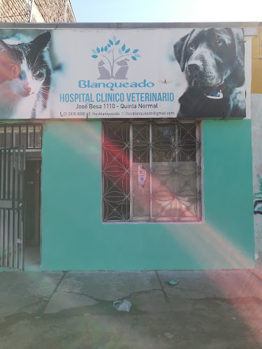 Opiniones de Hospital clinico veterinario blanqueado en Quinta Normal - Médico