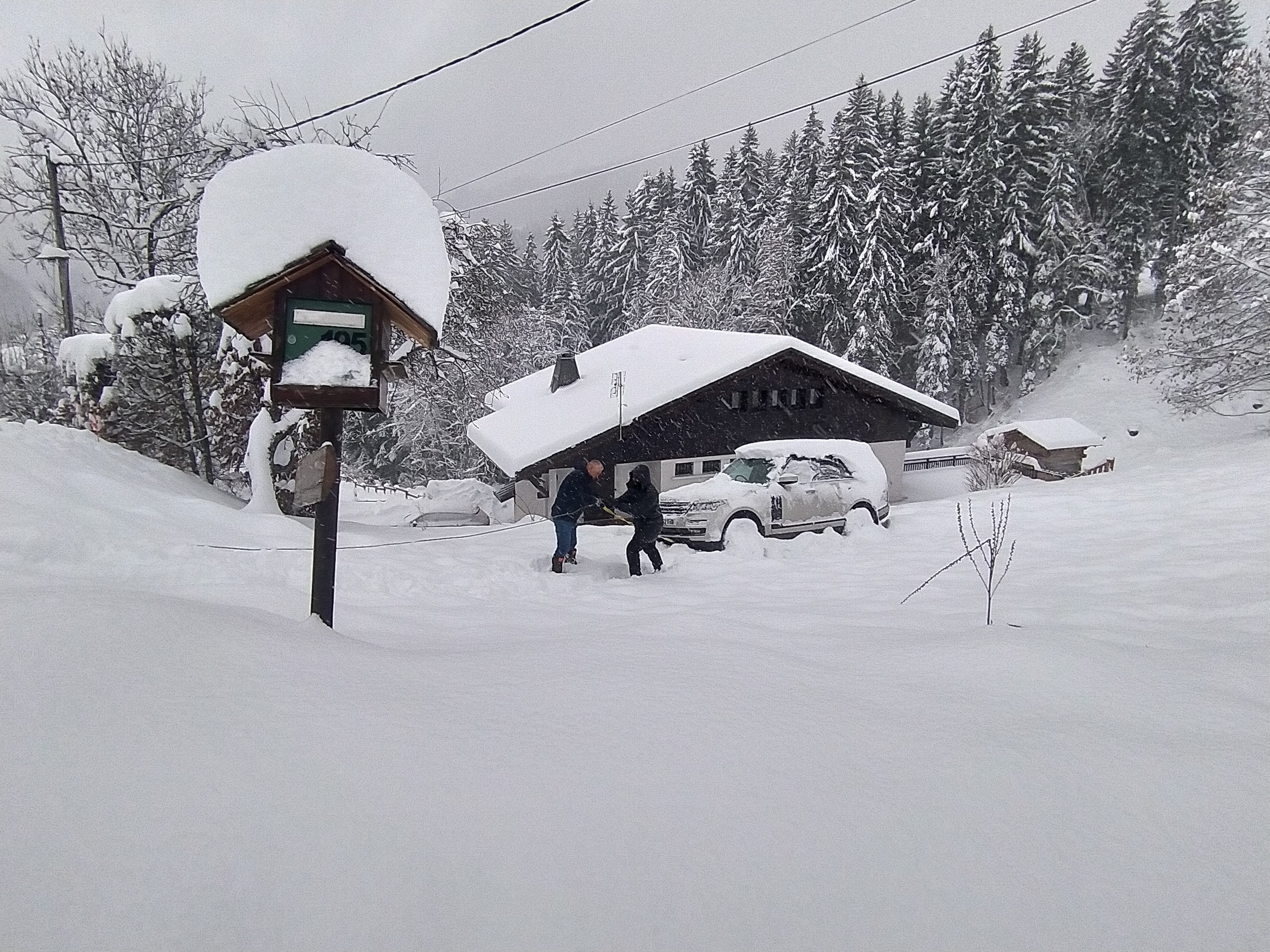 Photo n° 1 de l'avis de Marie.I fait le 22/01/2023 à 12:49