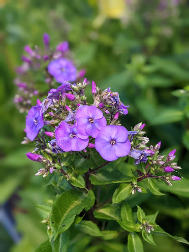 Home Improvement Store «The Home Depot», reviews and photos, 9051 Snowden River Pkwy, Columbia, MD 21046, USA