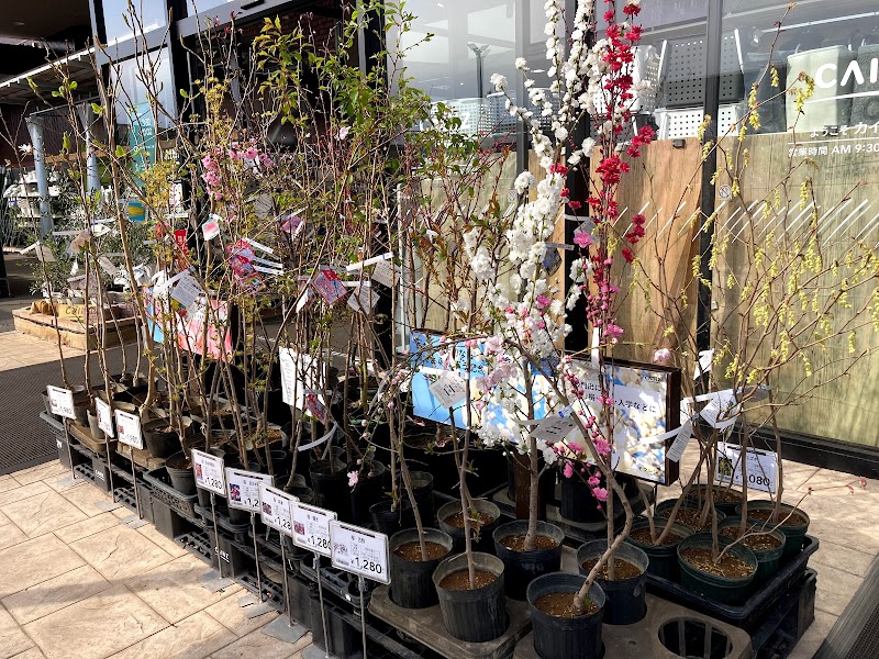 カインズ 熊谷籠原店 埼玉県熊谷市新堀 ホームセンター グルコミ