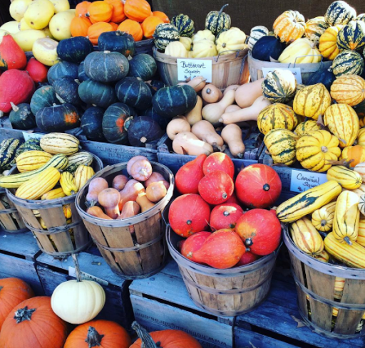 Garden Center «Nalls Produce», reviews and photos, 7310 Beulah St, Alexandria, VA 22315, USA