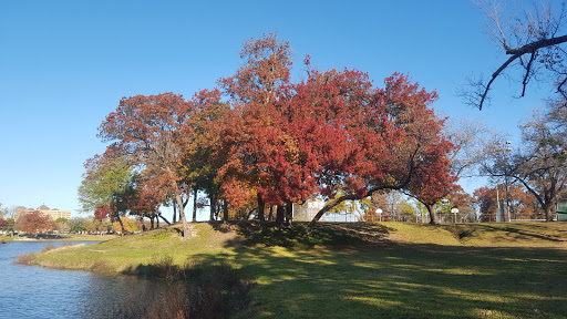 Park «Lake Cliff Park», reviews and photos, 300 E Colorado Blvd, Dallas, TX 75201, USA