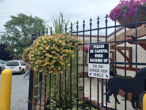 Pet Store «Critter Pet Shop», reviews and photos, 19309 Ecorse Rd, Allen Park, MI 48101, USA