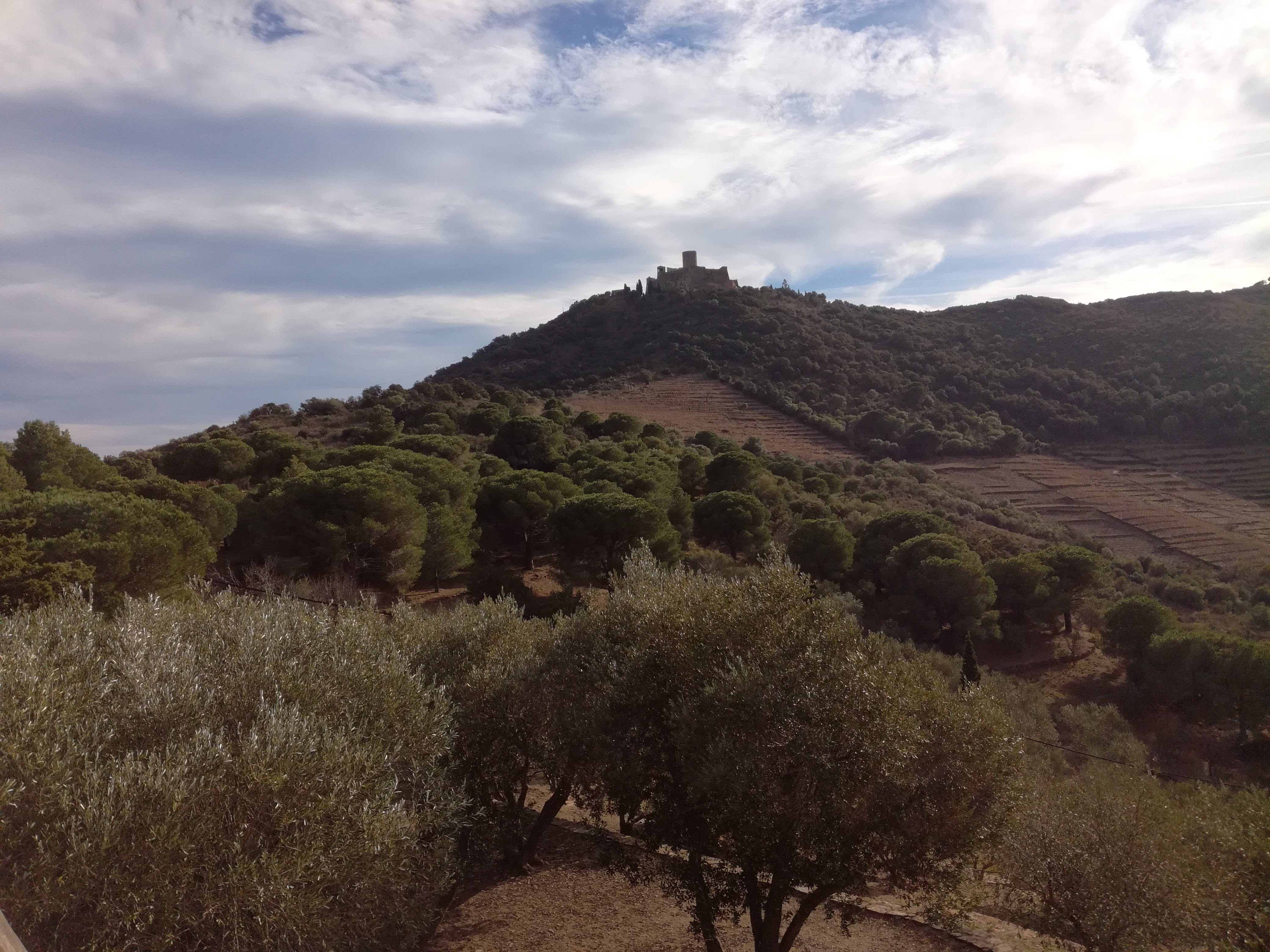 Photo n° 1 de l'avis de Mélody.I fait le 05/01/2018 à 09:19