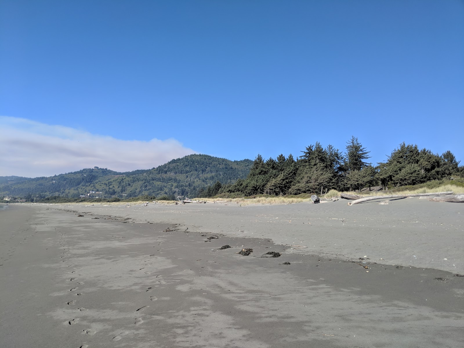Pelican Beach'in fotoğrafı biraz temiz temizlik seviyesi ile