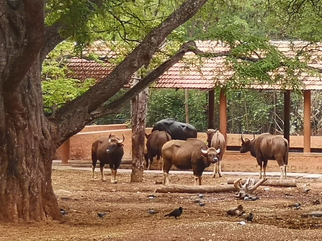 Sri Chamarajendra Zoological Gardens