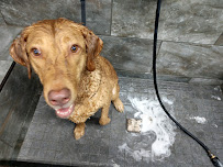 Pet Supermarket - Photo 5 - Car repair in DeLand, FL, Deltona