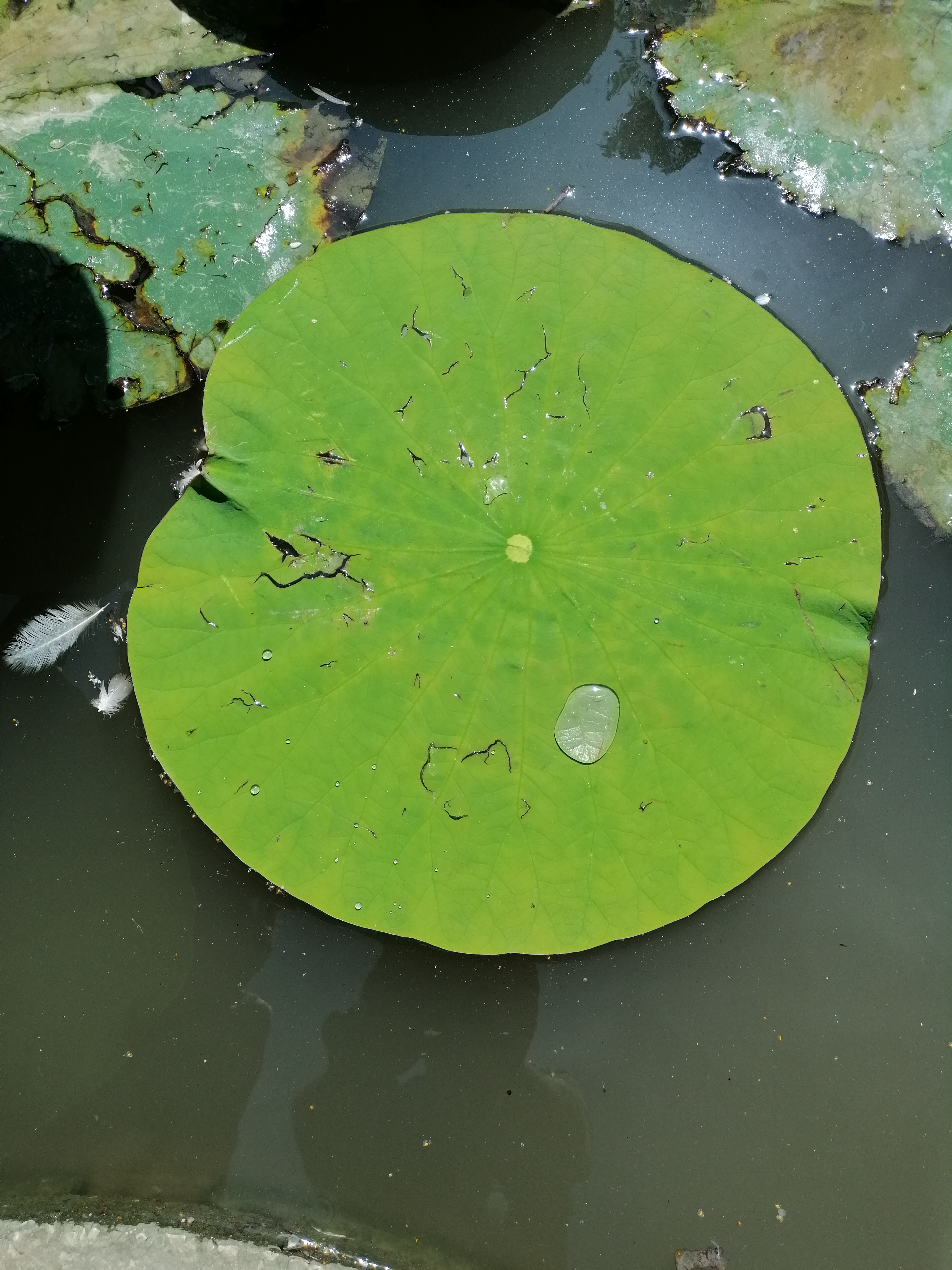 Photo n° 3 de l'avis de mike.a fait le 21/08/2019 à 15:19