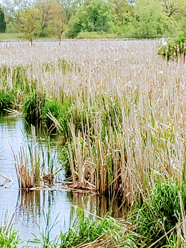 Nature Preserve «Raven Glen Forest Preserve», reviews and photos, 41080 US-45, Antioch, IL 60002, USA