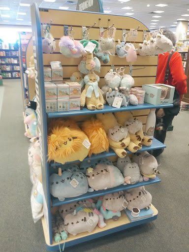 Book Store «Barnes & Noble», reviews and photos, 7685 W Bell Rd, Peoria, AZ 85382, USA