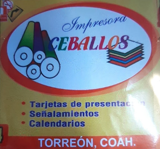 Impresora Ceballos