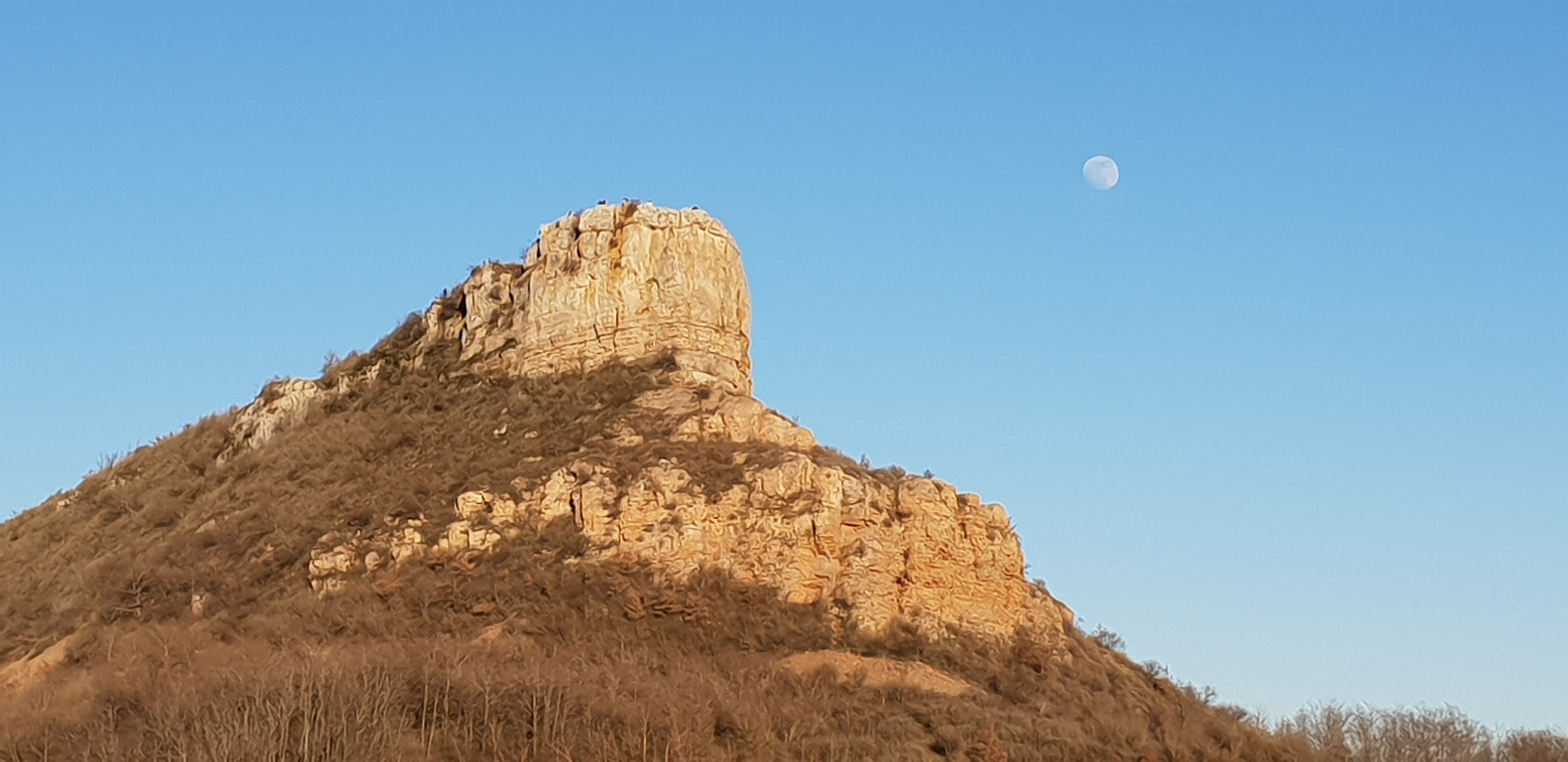 Photo n° 1 de l'avis de Dominique.o fait le 12/03/2019 à 10:16