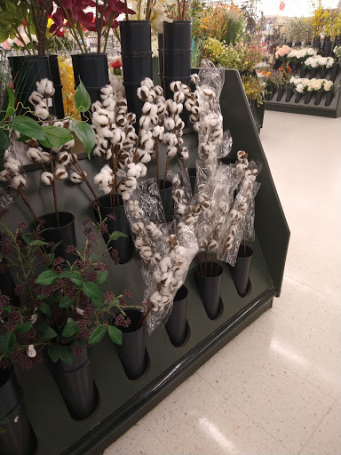 Craft Store «Hobby Lobby», reviews and photos, 2480 Supercenter Dr NE, Kannapolis, NC 28083, USA