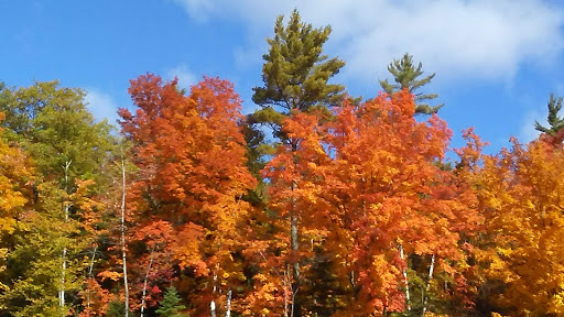 Museum «Michigan Iron Industry Museum», reviews and photos, 73 Forge Rd, Negaunee, MI 49866, USA