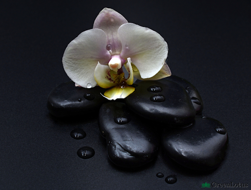 Spa «Green Lotus Spa & Retreat», reviews and photos, 4447 N Central Expy #115, Dallas, TX 75205, USA