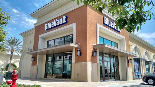 BlueVault Orange County