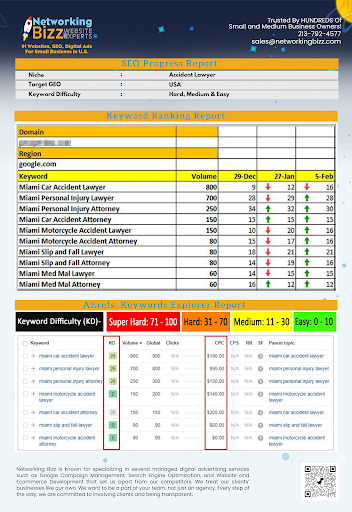 SEO Website Design Pasadena Networking Bizz image