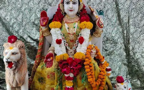 Shree Bhuvneshvari mata Temple image