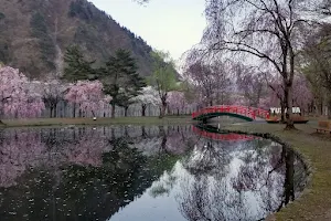 Yuzawa Central Park image