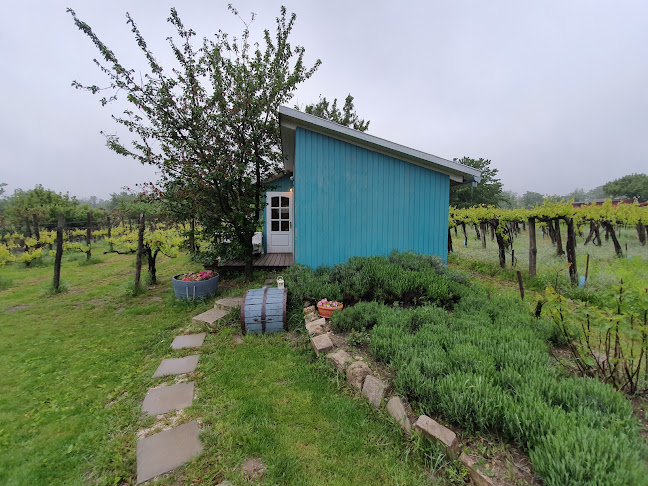 Winery guesthouse