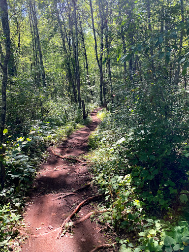 Bicycle Store «Seven Spokes Bike Shop», reviews and photos, 1044 Cleveland Ave S, St Paul, MN 55116, USA