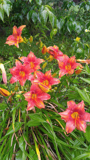 Gift Shop «Stonehedge Gardens», reviews and photos, 51 Dairy Rd, Tamaqua, PA 18252, USA