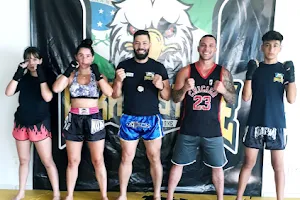 Paraná Strike Lutas - Muay Thai e Boxe image