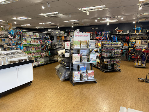 Pet Supply Store «Only Natural Pet - Boulder Flagship Store», reviews and photos, 2100 28th St #1C, Boulder, CO 80301, USA