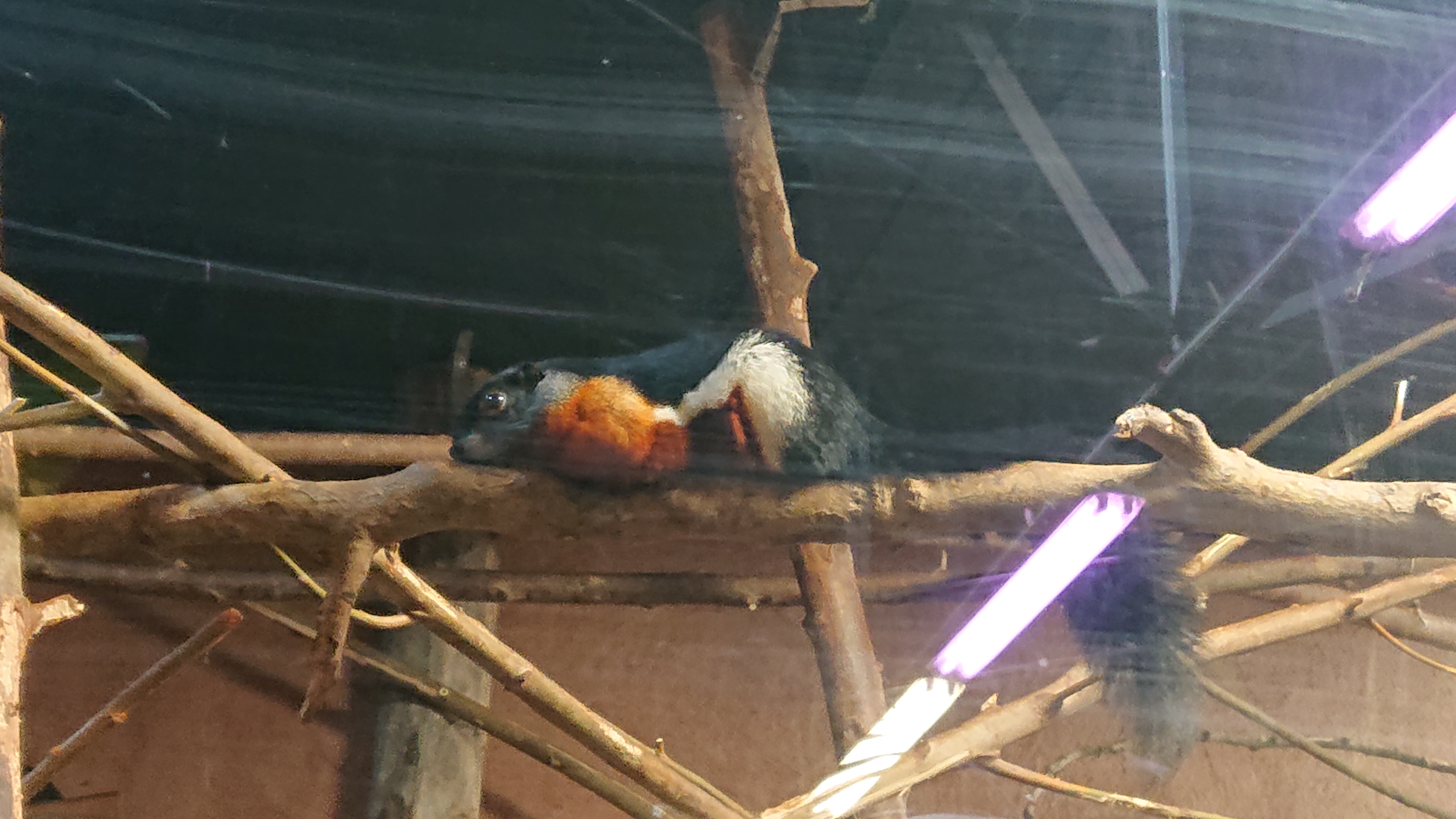 Photo n° 11 de l'avis de Otaries.a fait le 26/03/2019 à 09:02