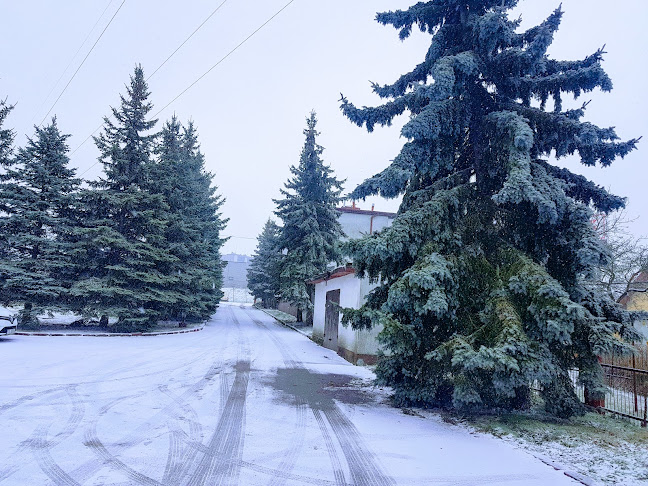 Opinii despre Jawist în Kielce - Drukarnia