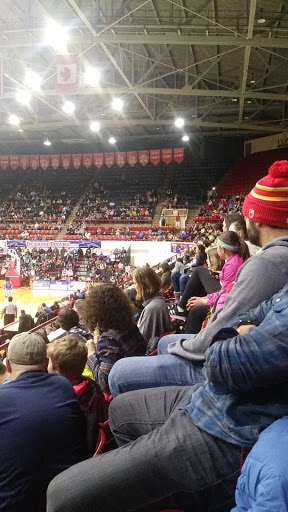 Basketball Court «Calihan Hall», reviews and photos, 4001 W McNichols Rd, Detroit, MI 48221, USA