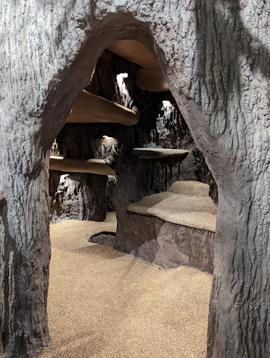 Science Museum «Cook Museum of Natural Science», reviews and photos, 133 4th Ave NE, Decatur, AL 35601, USA