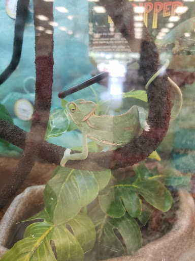 Pet Supply Store «Petco Animal Supplies», reviews and photos, 21700 Market Pl NW, Poulsbo, WA 98370, USA