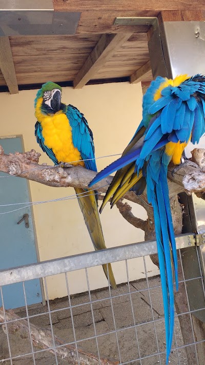 Photos of Vogelpark Turnersee