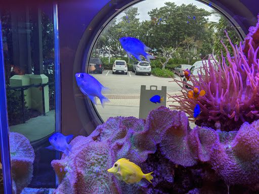 Animal Hospital «Loggerhead Marinelife Center», reviews and photos, 14200 U.S. Hwy 1, Juno Beach, FL 33408, USA