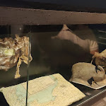 Photo n° 5 de l'avis de Vin.u fait le 14/08/2020 à 15:28 pour Centre Juno Beach à Courseulles-sur-Mer