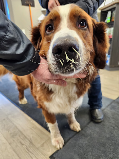 Lloydminster Animal Hospital image