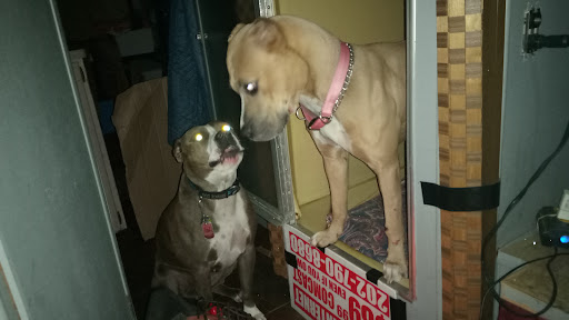 Park «Anacostia Park», reviews and photos, 1900 Anacostia Dr, Washington, DC 20020, USA