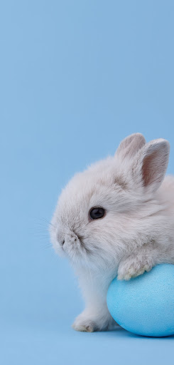 frackville pet store