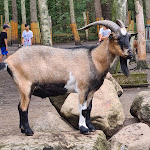 Photo n°2 de l'avis de Florian.a fait le 15/08/2020 à 14:30 sur le  Restaurant Waldkater à Langenhagen