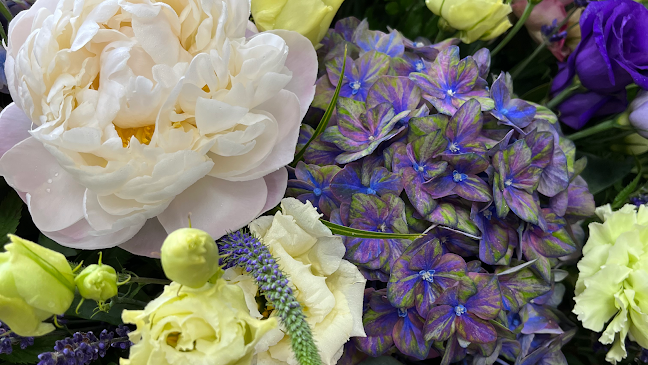 Reviews of Webbs Flowers in Bristol - Florist