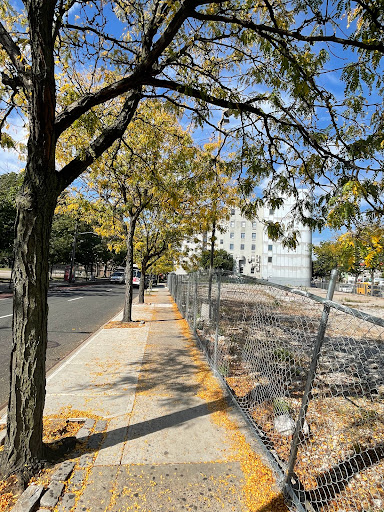 Park «Hoffman Park», reviews and photos, Hoffman Dr, Elmhurst, NY 11373, USA